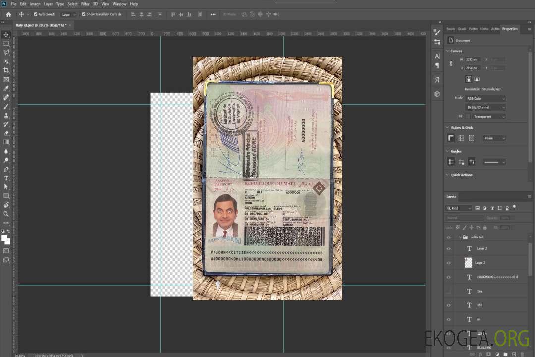 Look photo d'identité du Mali template